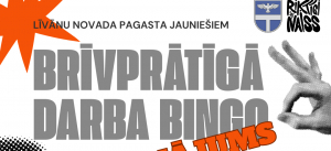 Brīvprātīga darba bingo